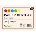 Interdruk Papier kolorowy Interdruk A4 mix 80g (PAKSA4IN)