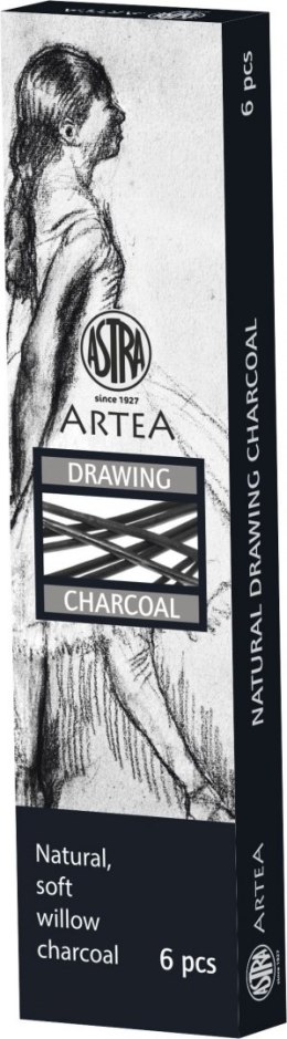 Artea Węgiel rysunkowy Artea Artea 6 szt (323115003)