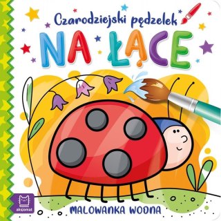 Aksjomat Książeczka edukacyjna Aksjomat Czarodziejski pędzelek. Na łące. Malowanka wodna (3202)