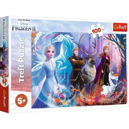 Trefl Puzzle Trefl Frozen kraina przyjażni 100 el. (16366)