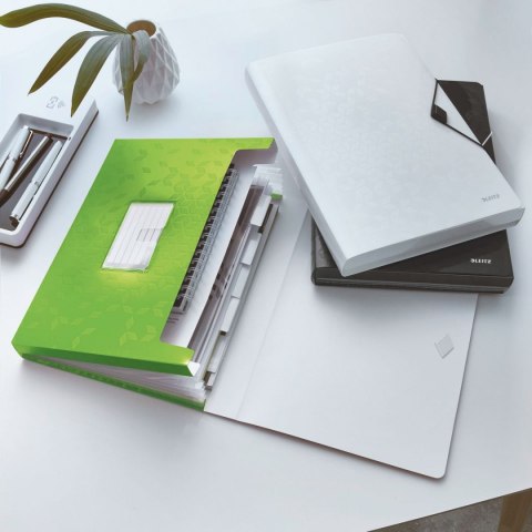 Leitz Teczka z przegródkami Leitz Wow A4 kolor: zielony 6 przegródek (45890054) Leitz Teczka z przegródkami Leitz Wow A4 kolor: zielony 6 przegródek (45890054)