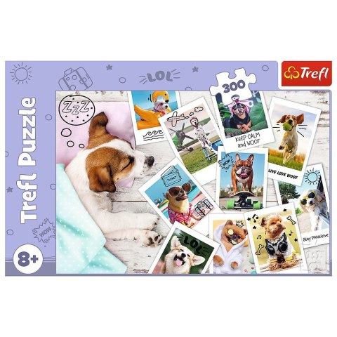Trefl Puzzle Trefl Star Wars 300 el. (23003) Trefl Puzzle Trefl Star Wars 300 el. (23003)