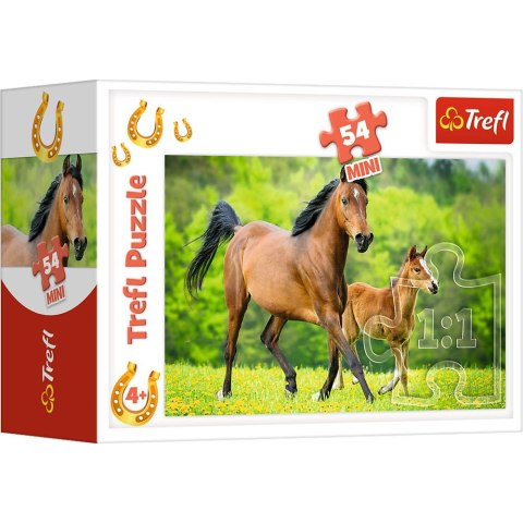 Trefl Puzzle Trefl Świat Koni 54 el. (54193)