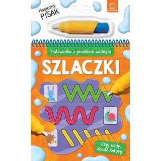 Aksjomat Książeczka edukacyjna Aksjomat Malowanka z pisakiem wodnym. Szlaczki (2319)