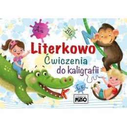 Niko Książeczka edukacyjna Niko Literkowo. Ćwiczenia do kaligrafii.