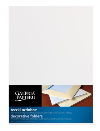 Galeria Papieru Teczka ofertowa Galeria Papieru excluso3 flap folder A4 kolor: srebrny [mm:] 255x325 (221701)