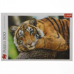 Trefl Puzzle Trefl Portret tygrysa 500 el. (37397)