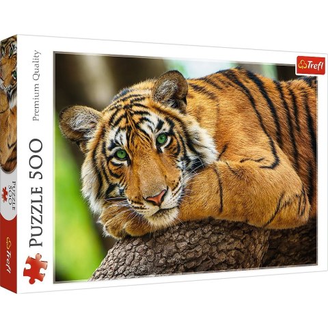 Trefl Puzzle Trefl Portret tygrysa 500 el. (37397) Trefl Puzzle Trefl Portret tygrysa 500 el. (37397)