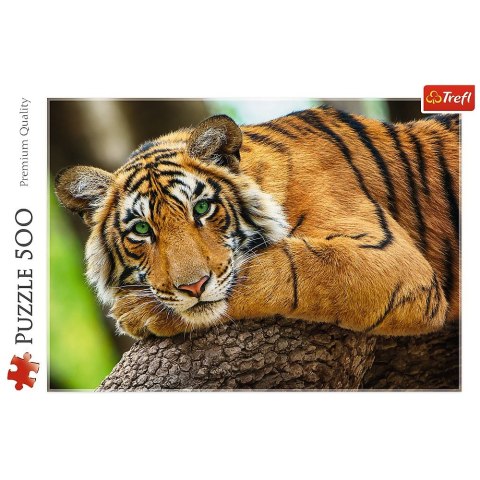 Trefl Puzzle Trefl Portret tygrysa 500 el. (37397) Trefl Puzzle Trefl Portret tygrysa 500 el. (37397)