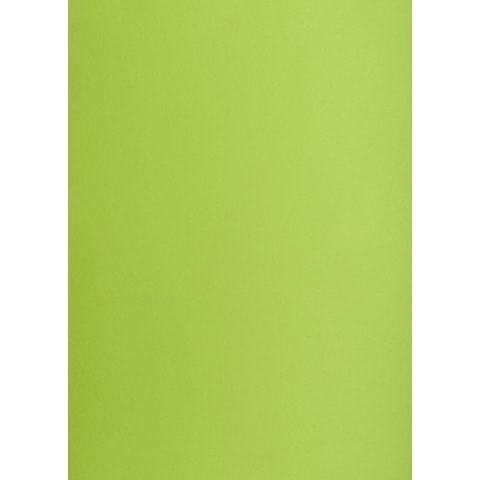 TOP-2000 Brystol TOP-2000 A1 jasnozielony 160g 25k [mm:] 610x860 (400149557)