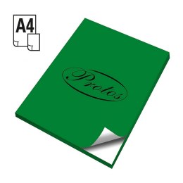 Protos Etykieta samoprzylepna A4 zielony [mm:] 210x297 Protos