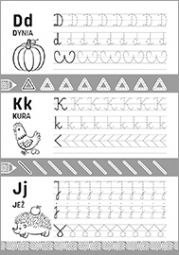 Literka Książeczka edukacyjna Szlaczki i literki 5-7 lat Literka