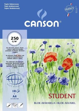 Canson Blok artystyczny Canson Student A4 250g 10k [mm:] 210x297 (200005506)