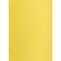 Creatinio Brystol Creatinio żółty B1 żółty 225g 1k (400150264)