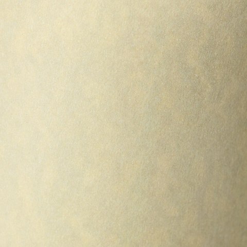 Galeria Papieru Papier ozdobny (wizytówkowy) Granit A4 kremowy 220g Galeria Papieru (200402)