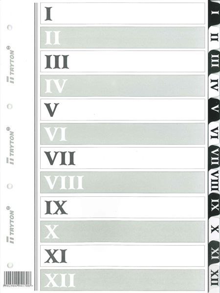 Tryton Przekładka numeryczna Tryton A4 biała 170g 12k I-XII (170)