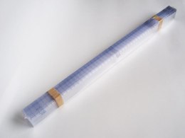 Grales Linijka plastikowa Grales 50cm (L50)