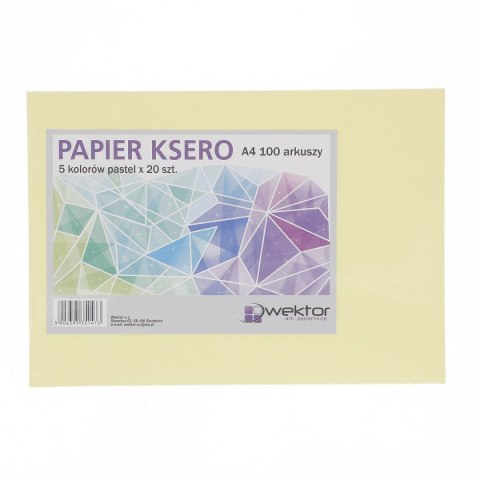 Wektor Papier kolorowy Wektor pastel A4 mix 80g