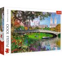 Trefl Puzzle Trefl Central Park,New York 1000 el. (10467)