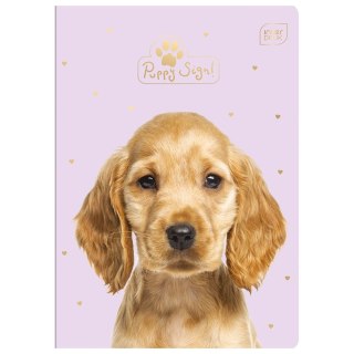 Interdruk Zeszyt Interdruk Puppy Sign A5 16k. 70g krata [mm:] 148x210 (ZE16#PS)