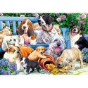 Trefl Puzzle Trefl Psy w ogrodzie 1000 el. (10556)