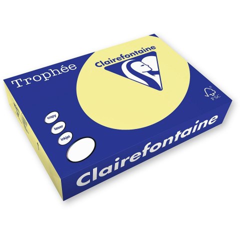 Trophee Papier kolorowy A3 kanarkowy 80g [mm:] 297x420 Trophee (xca31884)