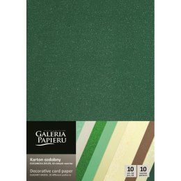 Galeria Papieru Papier ozdobny (wizytówkowy) Elegancka Zieleń A4 zielony 210-250g Galeria Papieru (208927)