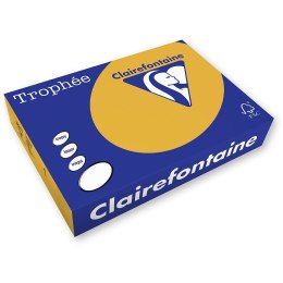 Trophee Papier kolorowy kolorowy A4 brązowy wielbłądzi 160g Trophee (xca41102)