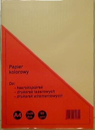 Rogatin Papier kolorowy Rogatin A4 mix 80g