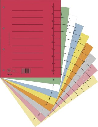 Donau Przekładka numeryczna Donau A4 mix kolorów 250g 100k 1-10 [mm:] 235x300 (8610001S-99)