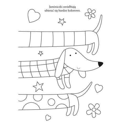 Interdruk Książka dla dzieci Interdruk A-4/16 (5902277293404)