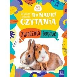 Aksjomat Książeczka edukacyjna Aksjomat Wyrazy i zdania do nauki czytania. Duże litery. Zwierzęta domowe