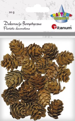 Titanum Ozdoba drewniana Titanum Craft-Fun Series szyszki (5903714533688)