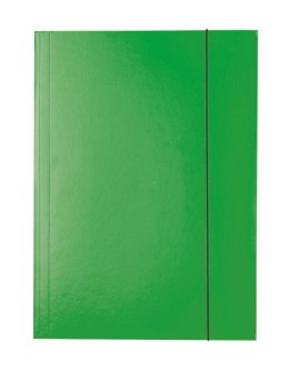 Esselte Teczka kartonowa na gumkę A4 zielony 400g Esselte (13437)