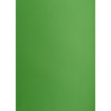 Creatinio Brystol Creatinio zielony B1 Zielony 225g 1k (400150268)