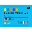 Interdruk Papier kolorowy Interdruk A4 mix (PAKSA4FLUO)