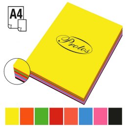 Protos Wkład papierowy wkład kolor A4 200k. 80g Protos
