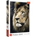 Trefl Puzzle Trefl Portret lwa 1500 el. (26139)