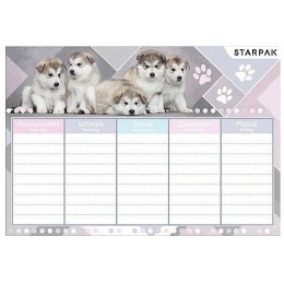 Starpak Plan lekcji Cuties Starpak (409084)