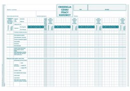 Michalczyk i Prokop Druk offsetowy Ewidencja czasu pracy kierowcy A4 40k. Michalczyk i Prokop (817-1)