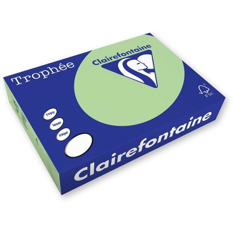 Trophee Papier kolorowy Trophee kolorowy A3 zielony 80g [mm:] 297x420 (xca31891)