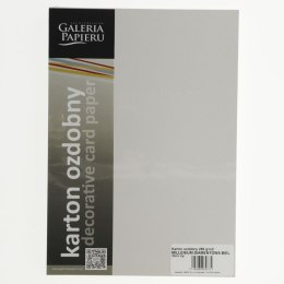 Galeria Papieru Papier ozdobny (wizytówkowy) Millenium diamentowa biel A4 biały 250g Galeria Papieru (200751)