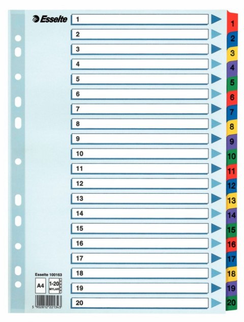 Esselte Przekładka numeryczna Esselte Mylar kartonowa A4 mix kolorów 160g 20k 1-20 (100163)