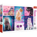 Trefl Puzzle Trefl Super cats Neon Color Line 1000 el. (10581)