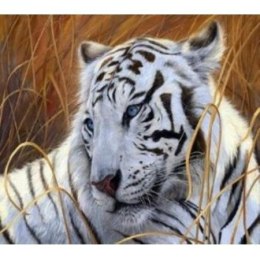 Norimpex Zestaw kreatywny Norimpex malowanie po numerach - tygrys biały (NO-1005683)