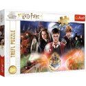 Trefl Puzzle Trefl Harry Potter 300 el. (23001)