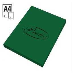 Protos Papier kolorowy A4 zielony 80g Protos