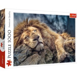 Trefl Puzzle Trefl Śpiący lew 1000 el. (10447)