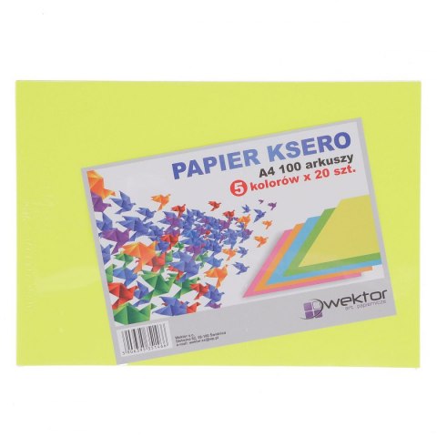 Wektor Papier kolorowy A4 mix Wektor (5906395351466)