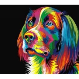 Norimpex Zestaw kreatywny Norimpex malowanie po numerach -kolorowy pies (NO-1005583)